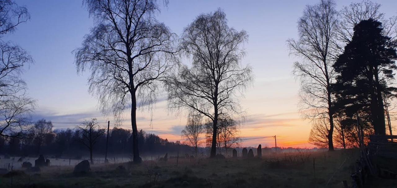 SosdalaVittfarnas Hird Vikingaby住宿加早餐旅馆 外观 照片